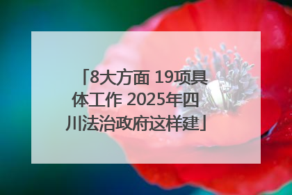 8大方面 19项具体工作 2025年四川法治政府这样建