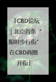 CBD论坛｜北京首条“限时步行街”在CBD商圈开街