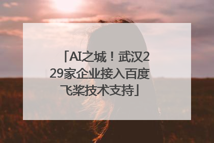 AI之城！武汉229家企业接入百度飞桨技术支持