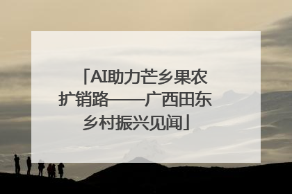 AI助力芒乡果农扩销路——广西田东乡村振兴见闻