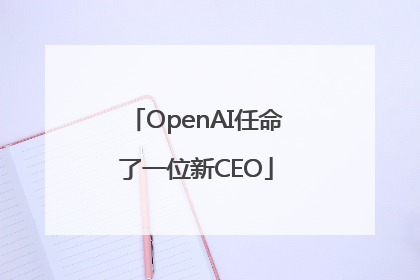 OpenAI任命了一位新CEO