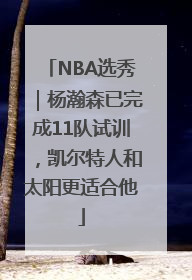 NBA选秀｜杨瀚森已完成11队试训，凯尔特人和太阳更适合他